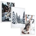 Zestaw obrazy w ramie, plakaty - renifer, zima, śnieg - rama biała