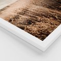 Zestaw obrazy w ramie, plakaty - przyroda, krajobraz, wydma - rama biała