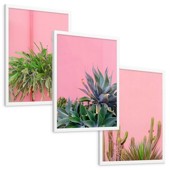 Zestaw obrazy w ramie, plakaty - rośliny, kaktusy, różowy - rama biała