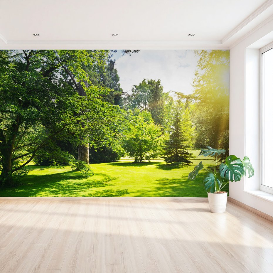 Fototapeta - las, trawa, drzewa