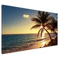 Obraz na płótnie - plaża, palmy, morze