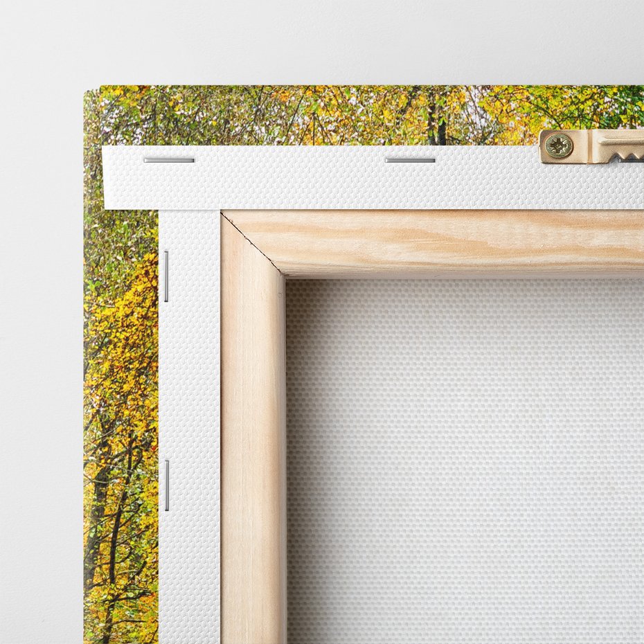 Obraz na płótnie - jesień, most, liście