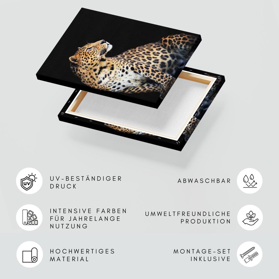 Obraz na płótnie - leopard, zwierzę, kot