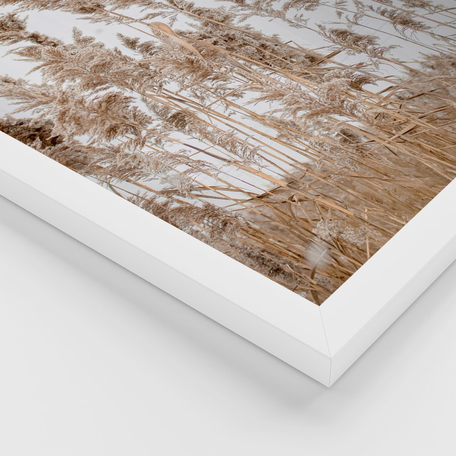 Zestaw obrazy w ramie, plakaty - trzcina, plaża, morze - rama biała