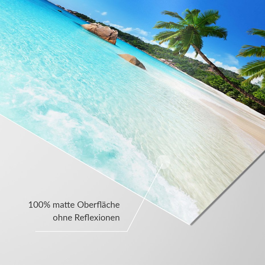 Fototapeta - plaża, morze, palmy