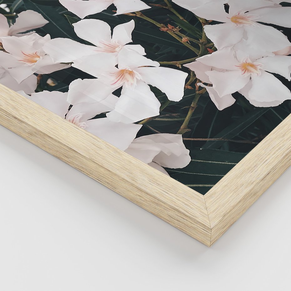 Zestaw obrazy w ramie, plakaty - kwiaty, biały, roślina - rama drewno