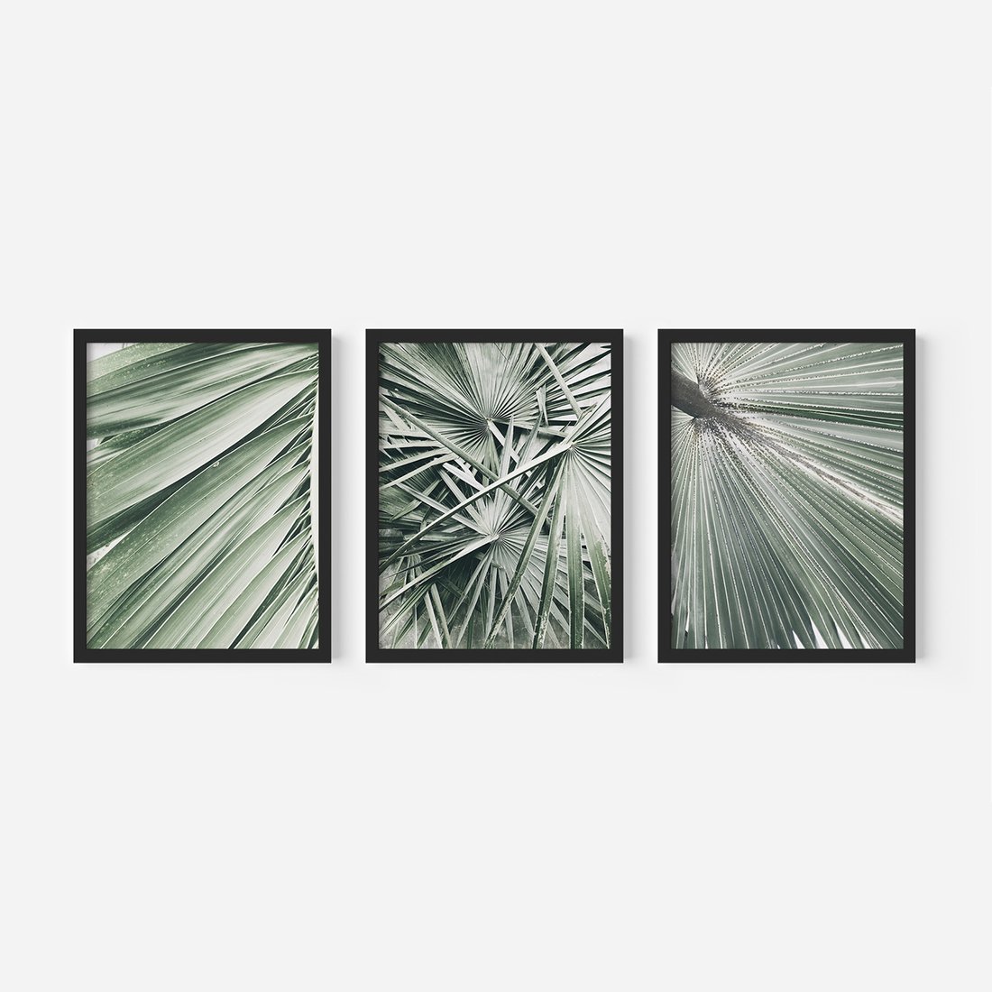 Zestaw obrazy w ramie, plakaty - liście palmowe, rośliny, natura - rama czarna