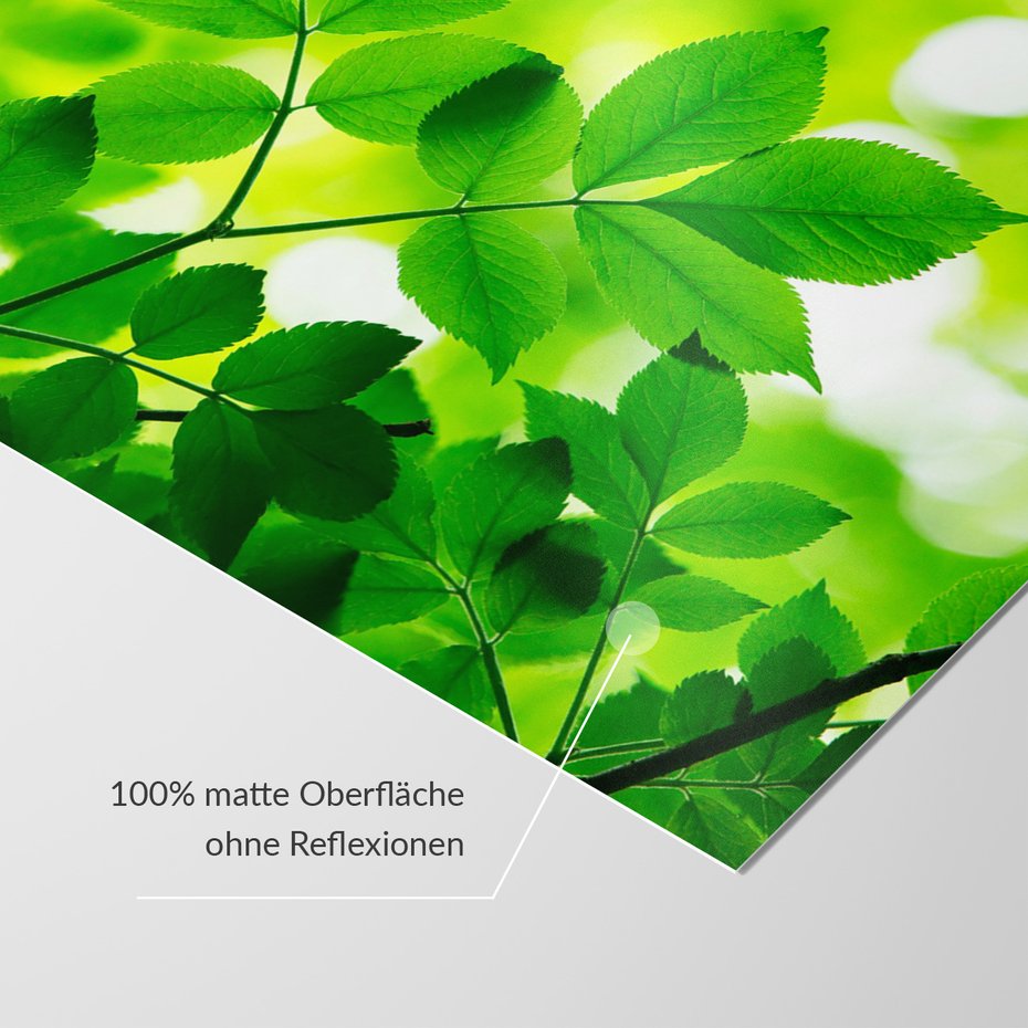 Fototapeta - liście, zieleń, natura