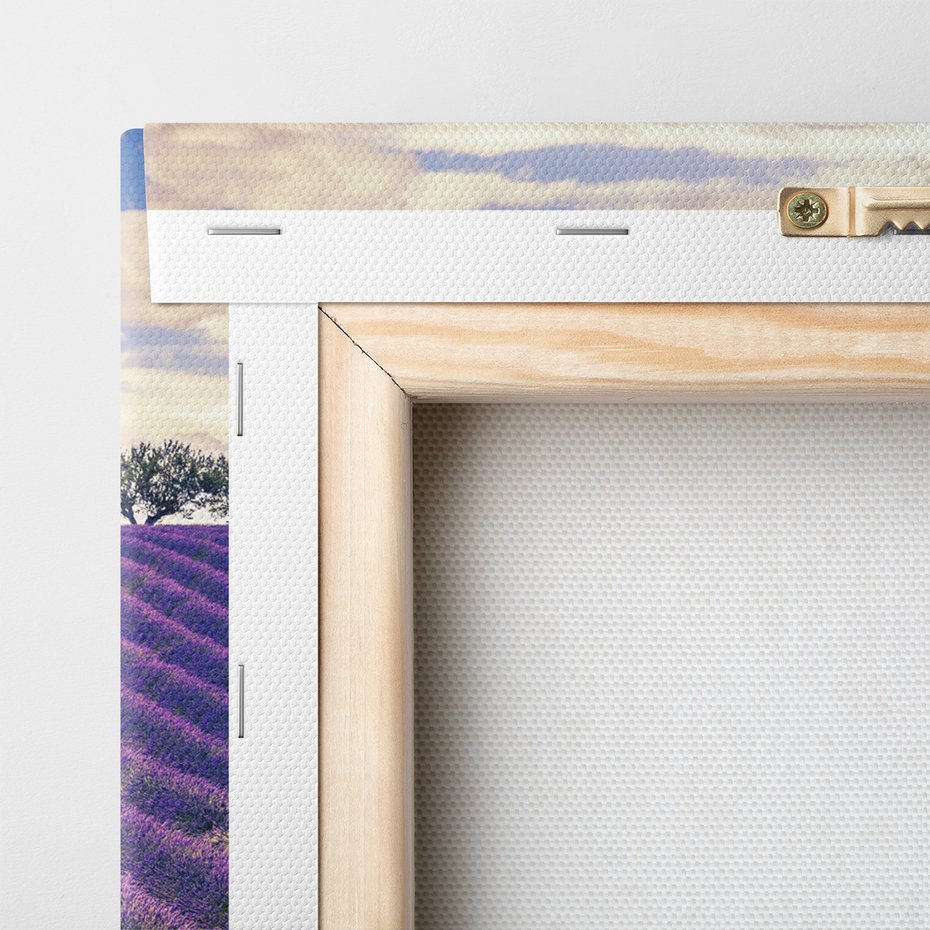 Obraz na płótnie - lawenda, pole, drzewa