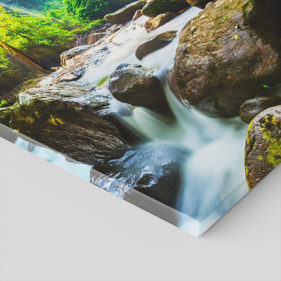 Obraz na płótnie - las, rzeka, kamienie