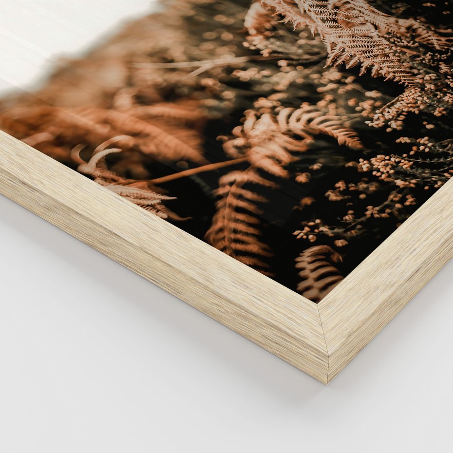 Zestaw obrazy w ramie, plakaty - liście, roślinność, brązowy - rama drewno