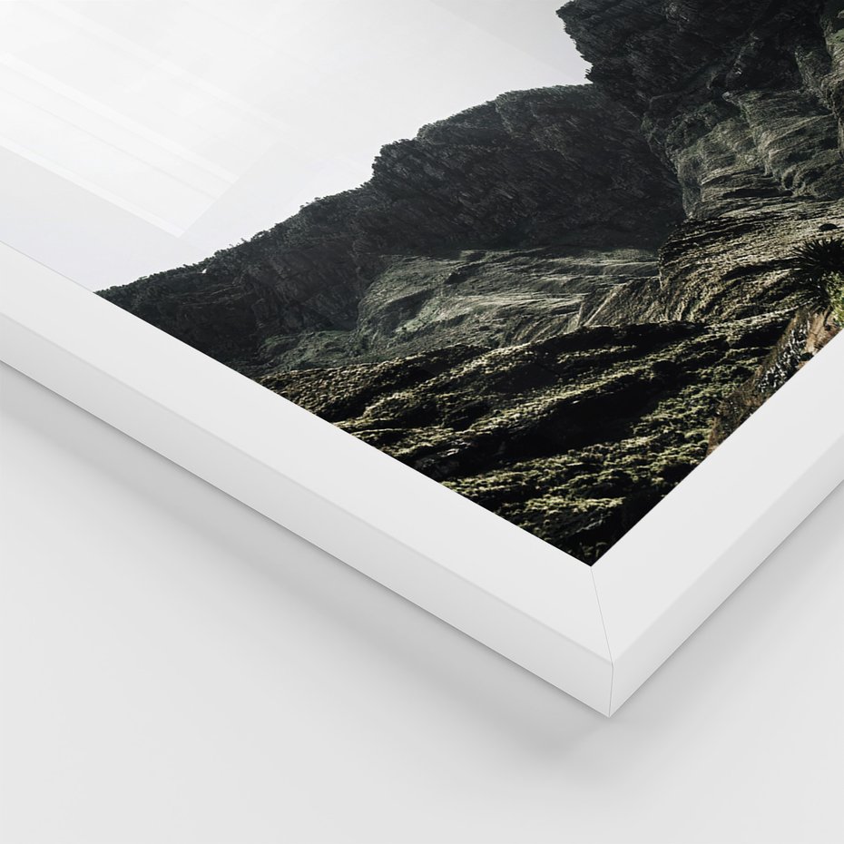 Zestaw obrazy w ramie, plakaty - góry, kaktus, rośliny - rama biała