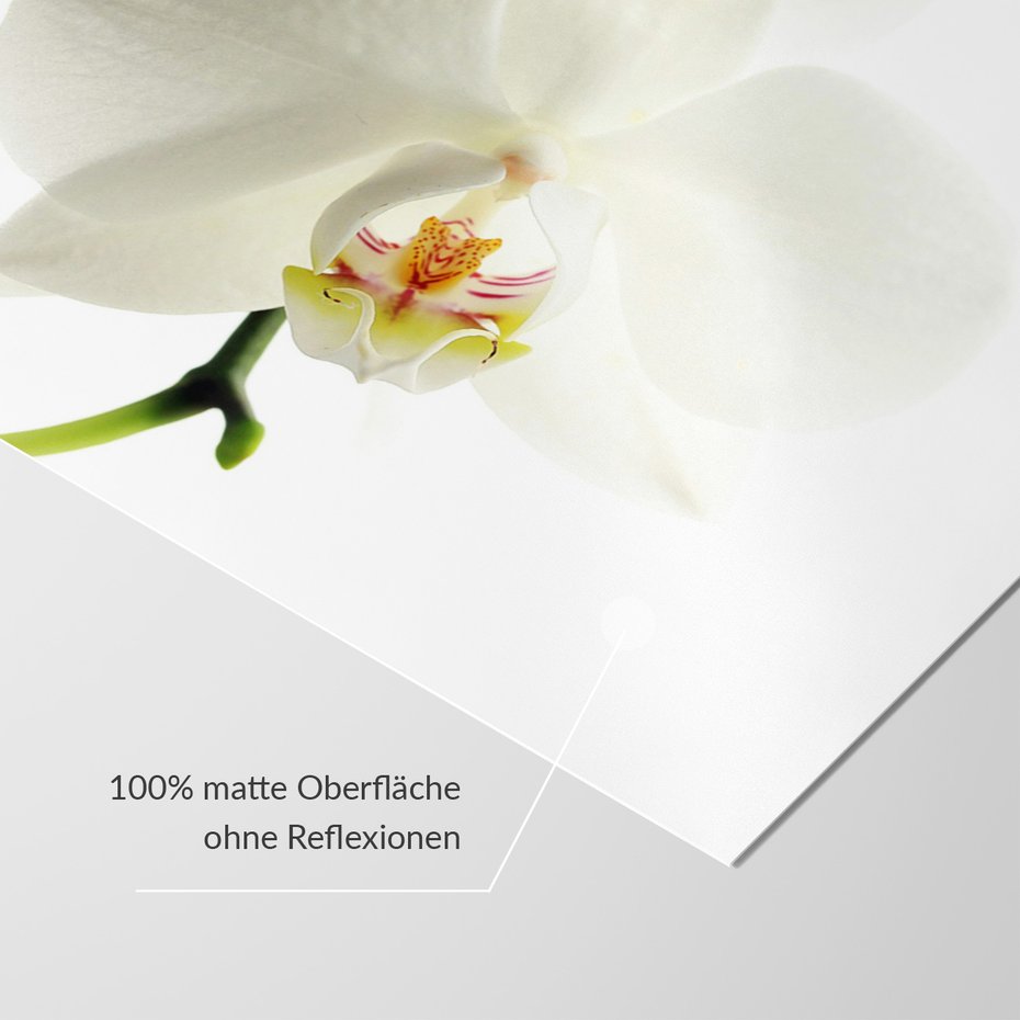 Fototapeta - orchidea, kwiat, biały