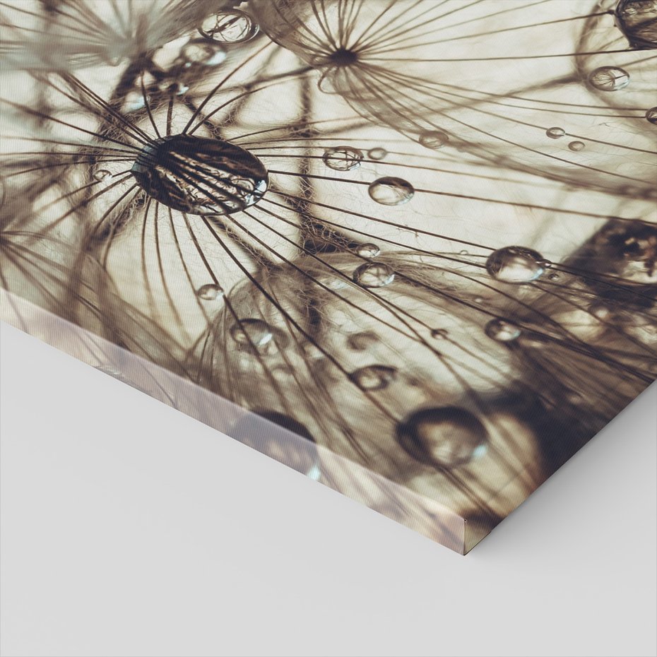 Obraz na płótnie - makro, krople, nasiona