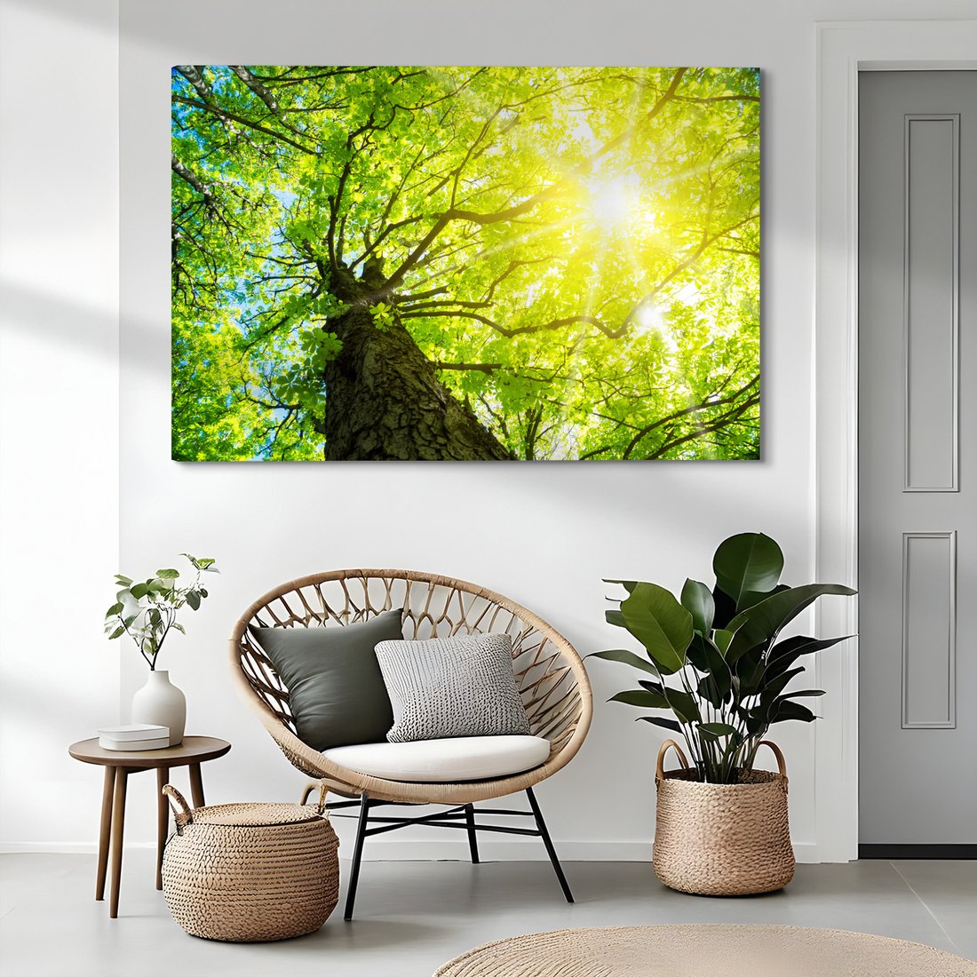 Obraz na płótnie - las, drzewa, słońce