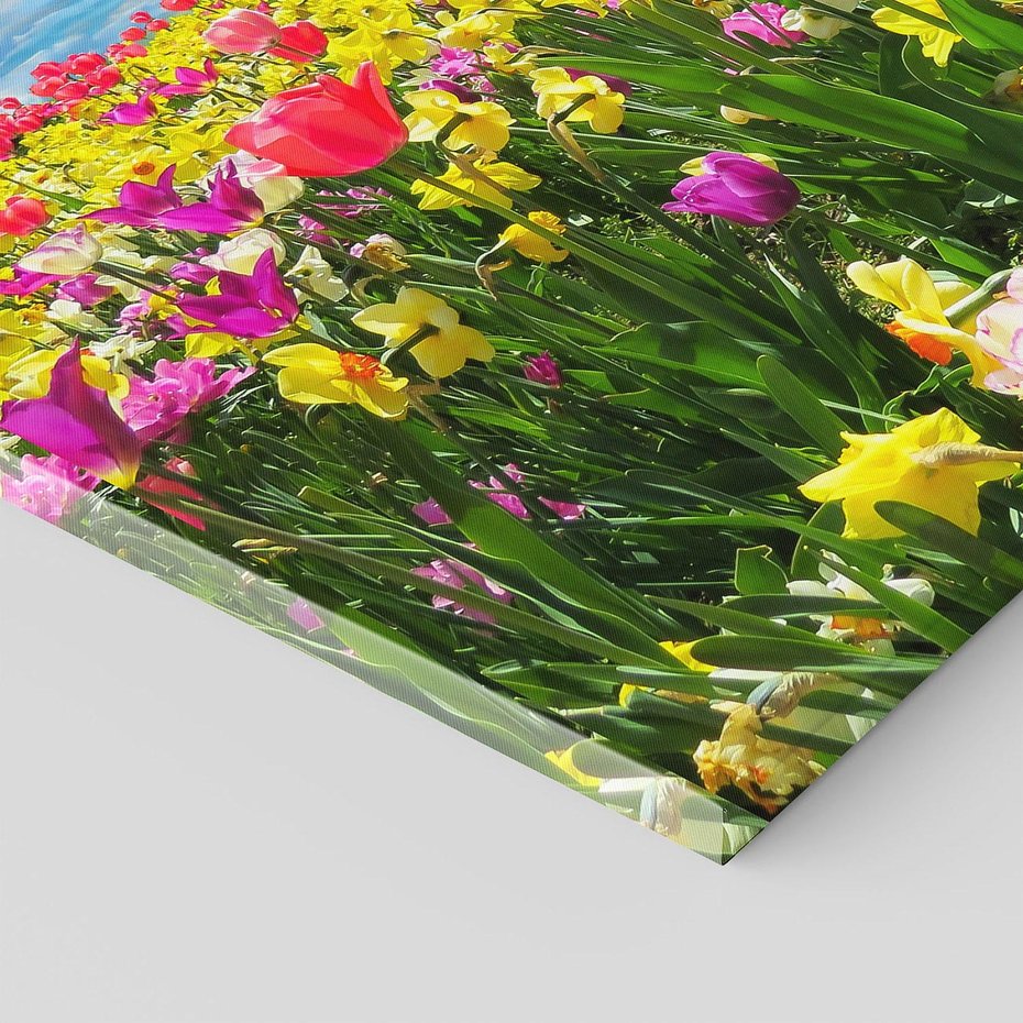Obraz na płótnie - kwiaty, tulipany, wiosna