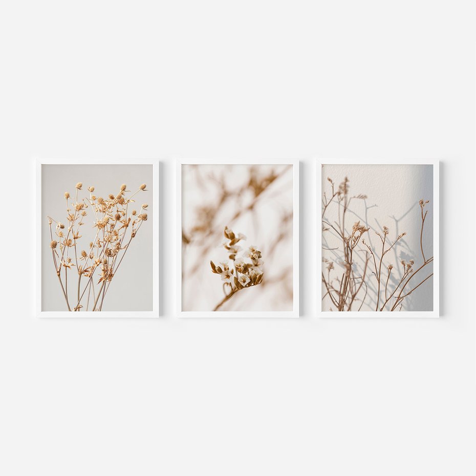 Zestaw obrazy w ramie, plakaty - kwiaty,rośliny,suszone, - rama biała