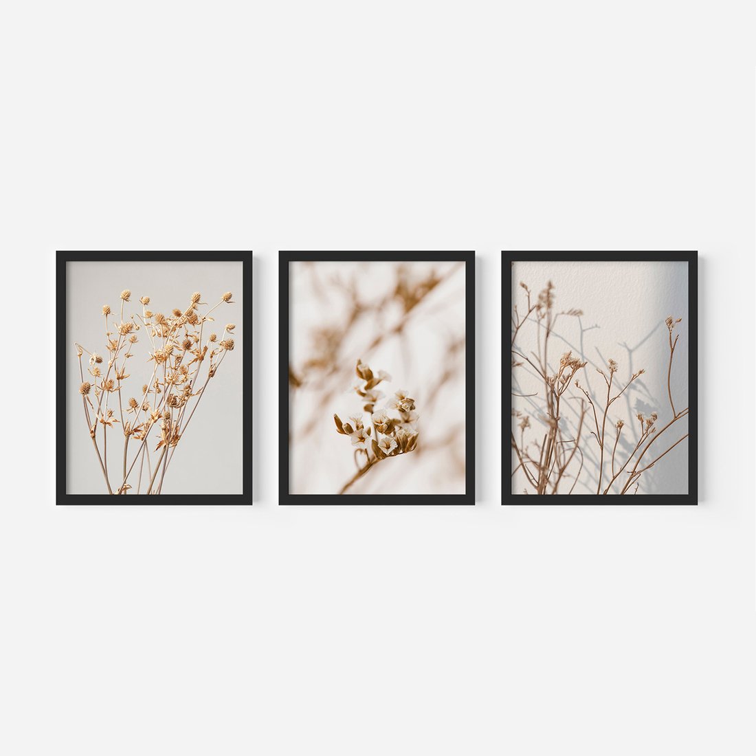 Zestaw obrazy w ramie, plakaty - kwiaty,rośliny,suszone, - rama czarna