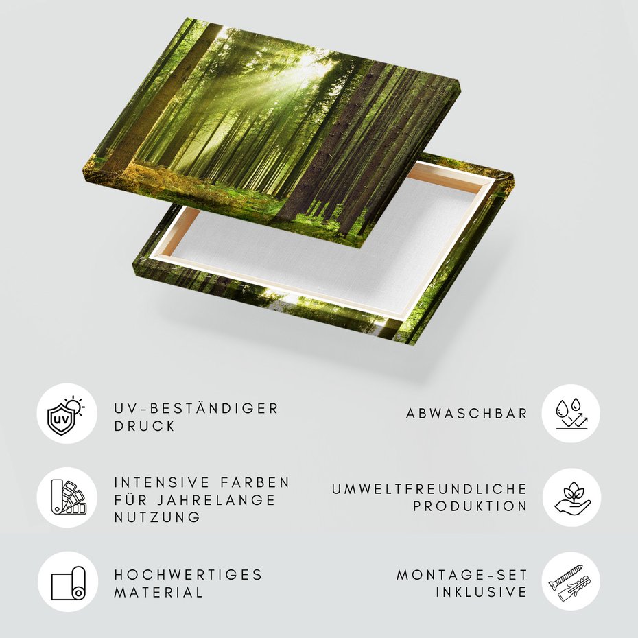 Obraz na płótnie - las, drzewa, natura