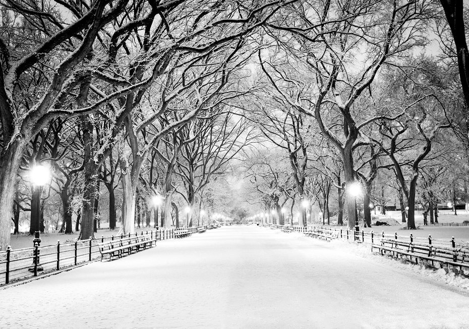 Fototapeta - zima, śnieg, park