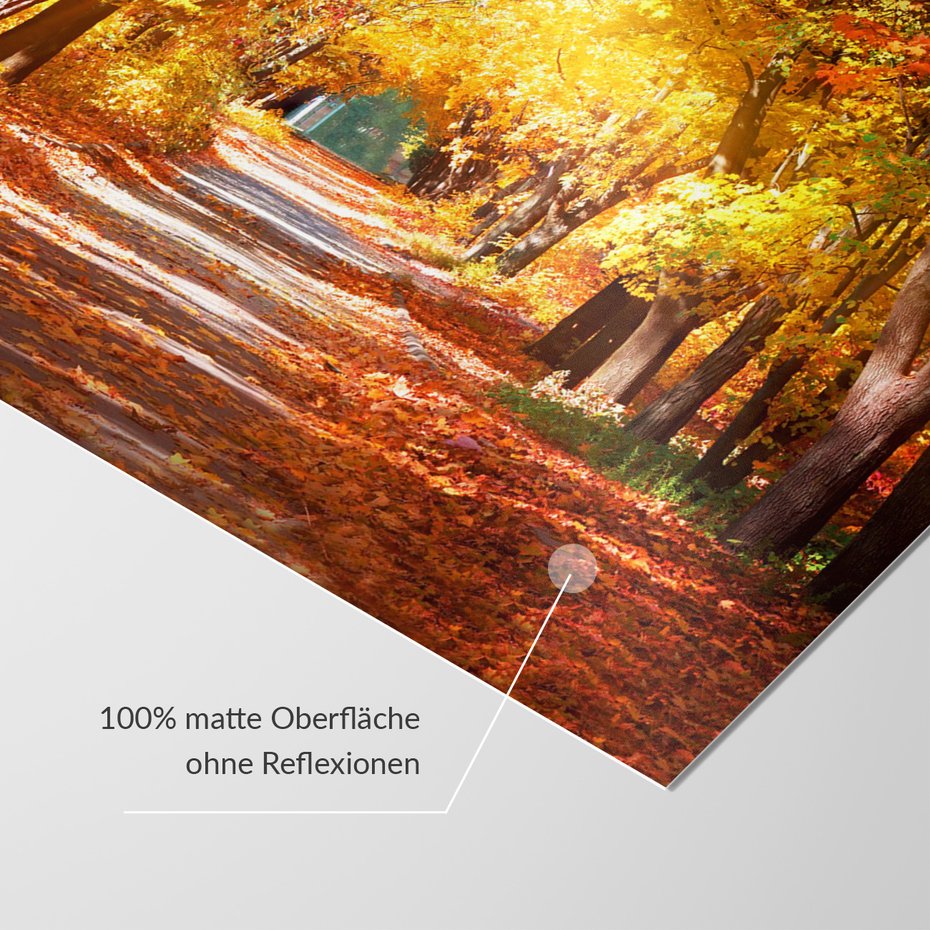 Fototapeta - jesień, liście, droga