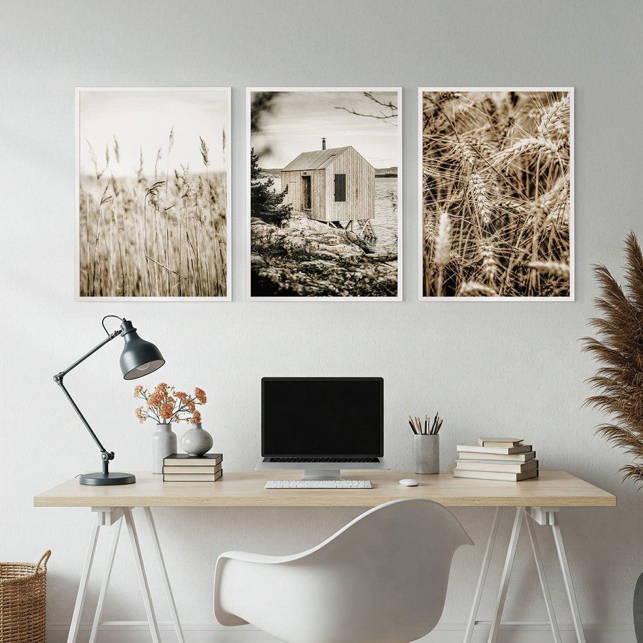 Zestaw obrazy w ramie, plakaty - natura, dom, rośliny - rama biała
