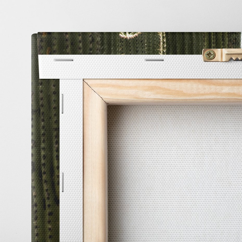 Obraz na płótnie - kaktusy, natura, pustynia