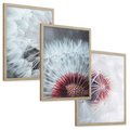 Zestaw obrazy w ramie, plakaty - dmuchawiec, natura, makro - rama drewno