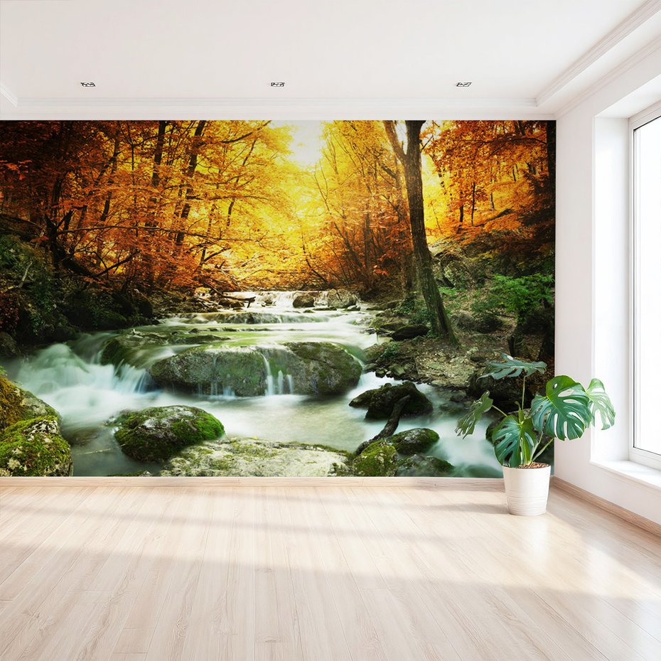 Fototapeta - jesień, las, woda