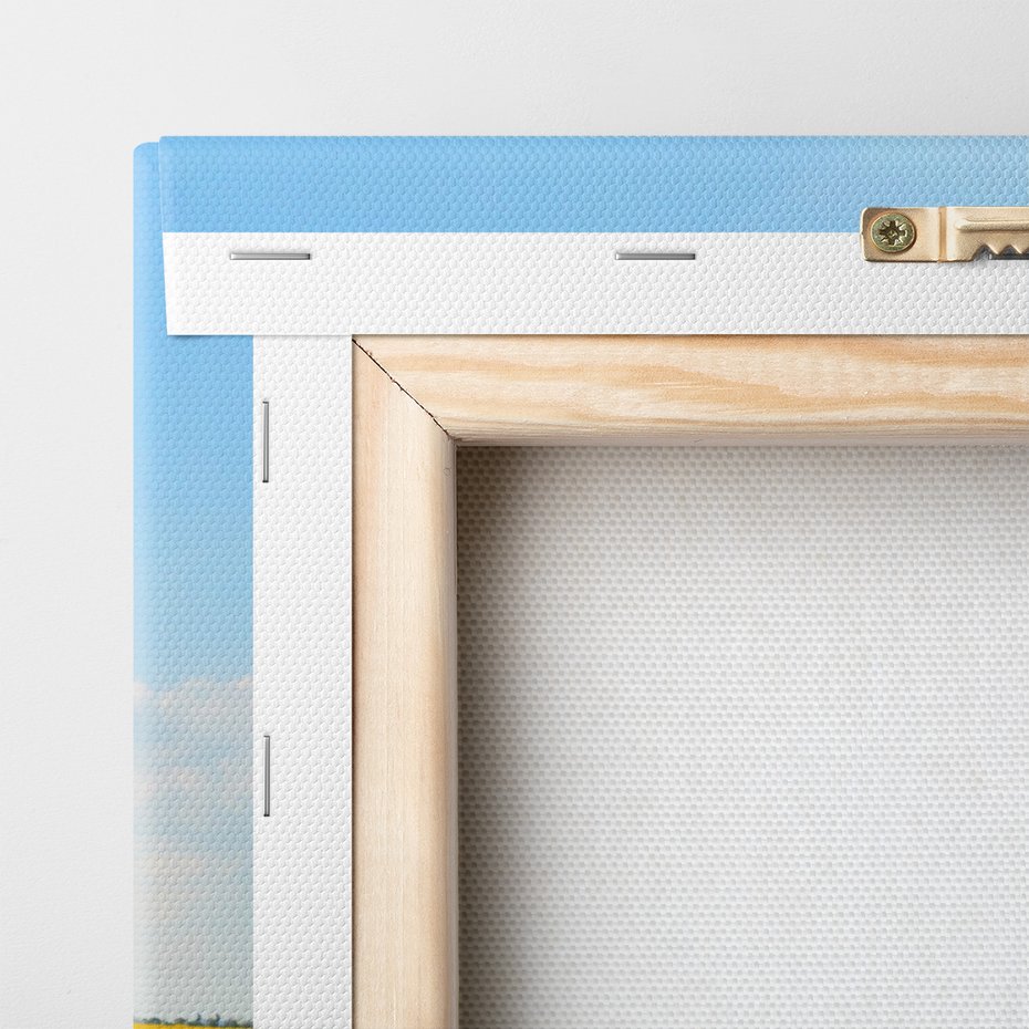 Obraz na płótnie - słoneczniki, pole, lato