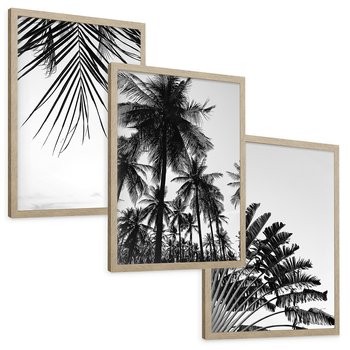Zestaw obrazy w ramie, plakaty - palmy, liście, tropikalne - rama drewno
