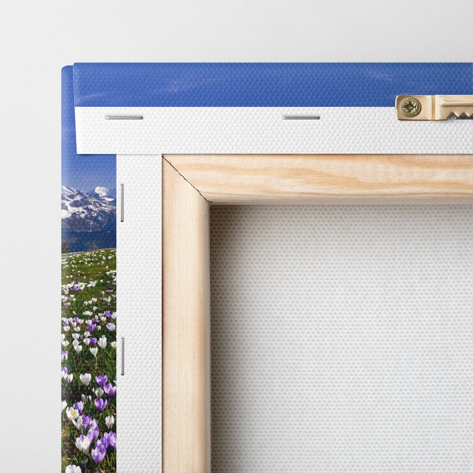 Obraz na płótnie - kwiaty, góry, krajobraz