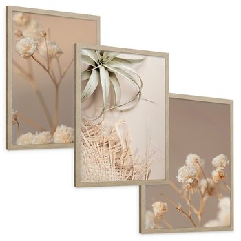 Zestaw obrazy w ramie, plakaty - kwiaty, roślina, suszone - rama drewno