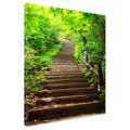 Obraz na płótnie - schody, las, zieleń