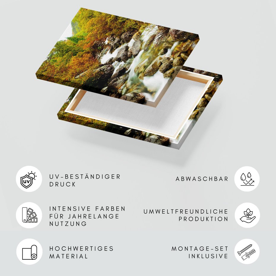 Obraz na płótnie - rzeka, las, kamienie