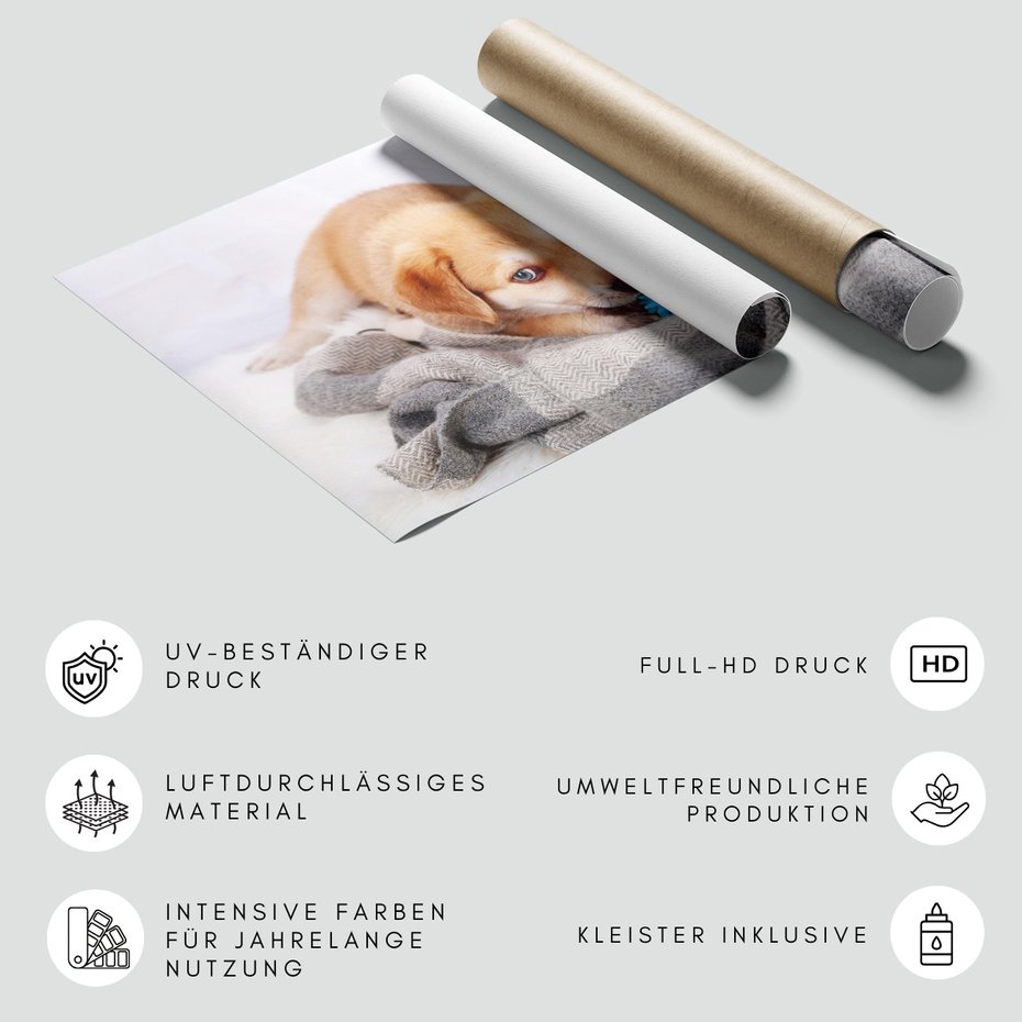 Fototapeta - szczeniak, pies, zabawa