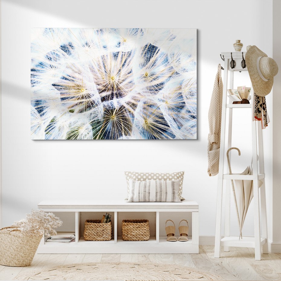 Obraz na płótnie - dandelion, nasiona, dmuchawiec