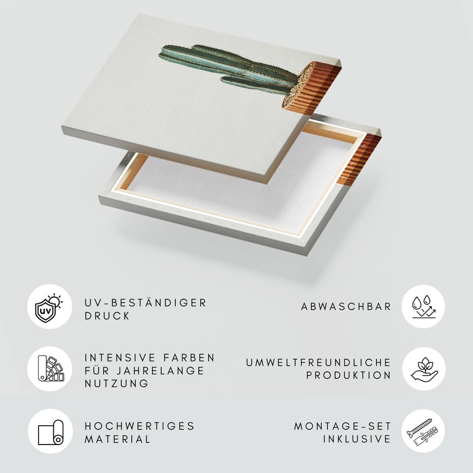 Obraz na płótnie - kaktus, roślina, doniczka