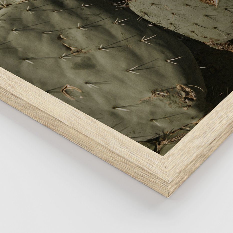 Zestaw obrazy w ramie, plakaty - kaktusy, rośliny, zielony - rama drewno