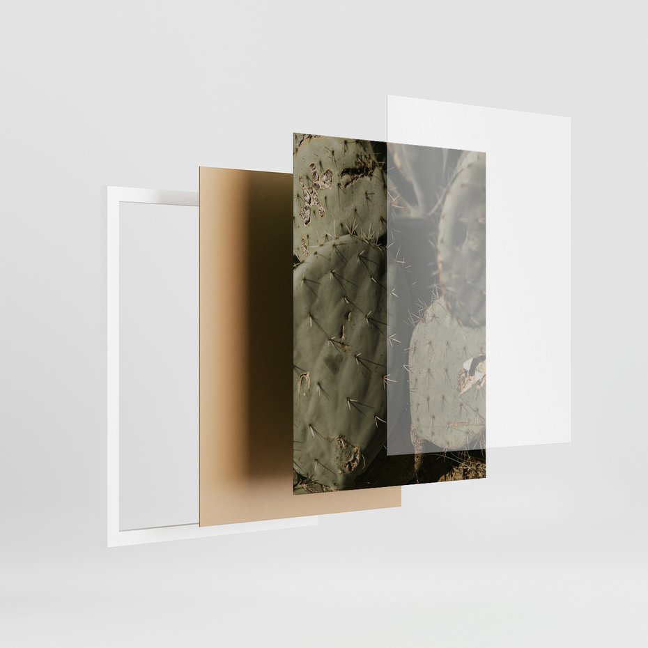 Zestaw obrazy w ramie, plakaty - kaktusy, rośliny, zielony - rama biała