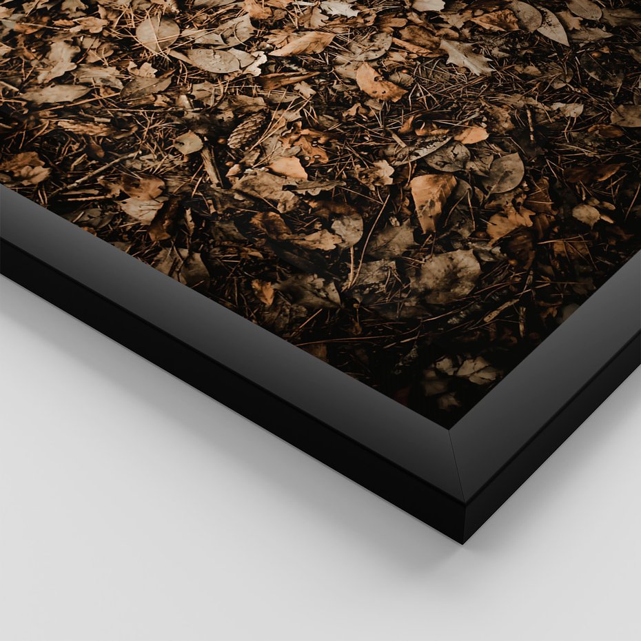 Zestaw obrazy w ramie, plakaty - liście, jesień, brązowy - rama czarna