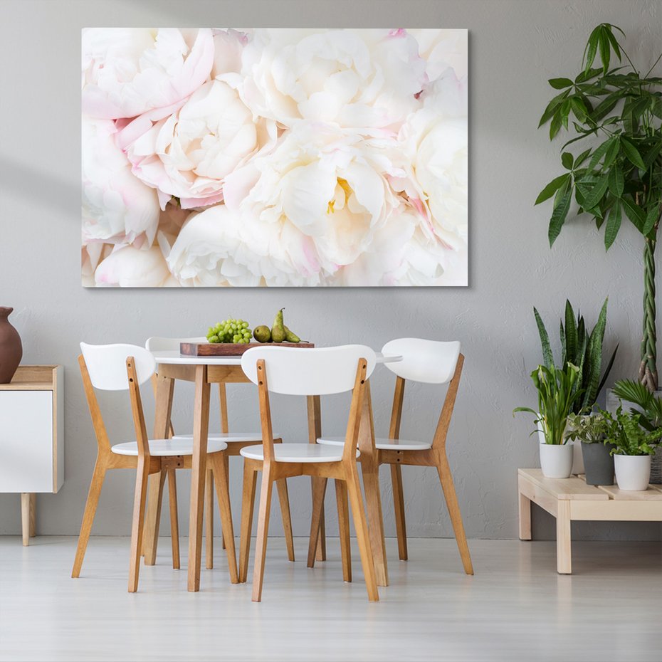 Obraz na płótnie - piwonie, kwiaty, delikatne
