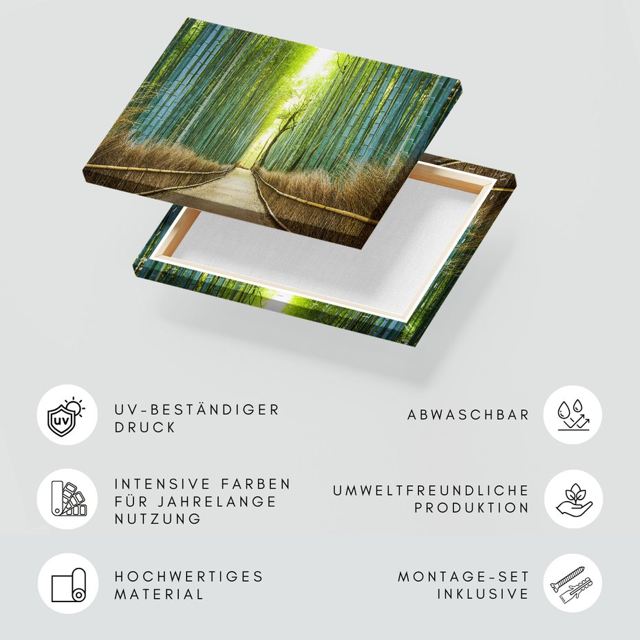 Obraz na płótnie - bambusowy, las, ścieżka