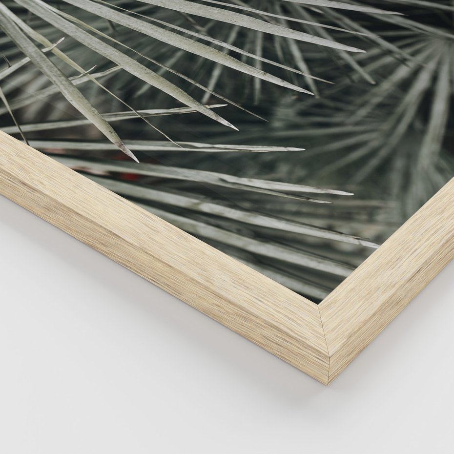 Zestaw obrazy w ramie, plakaty - liście, palmy, tropikalne - rama drewno