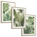 Zestaw obrazy w ramie, plakaty - liście, tropikalny, rośliny - rama drewno