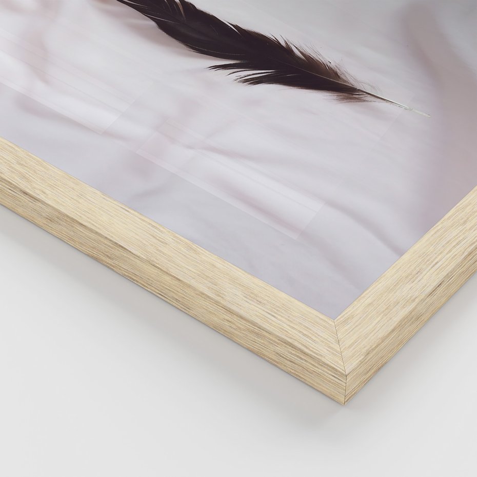 Zestaw obrazy w ramie, plakaty - pióro, minimalizm, tło - rama drewno