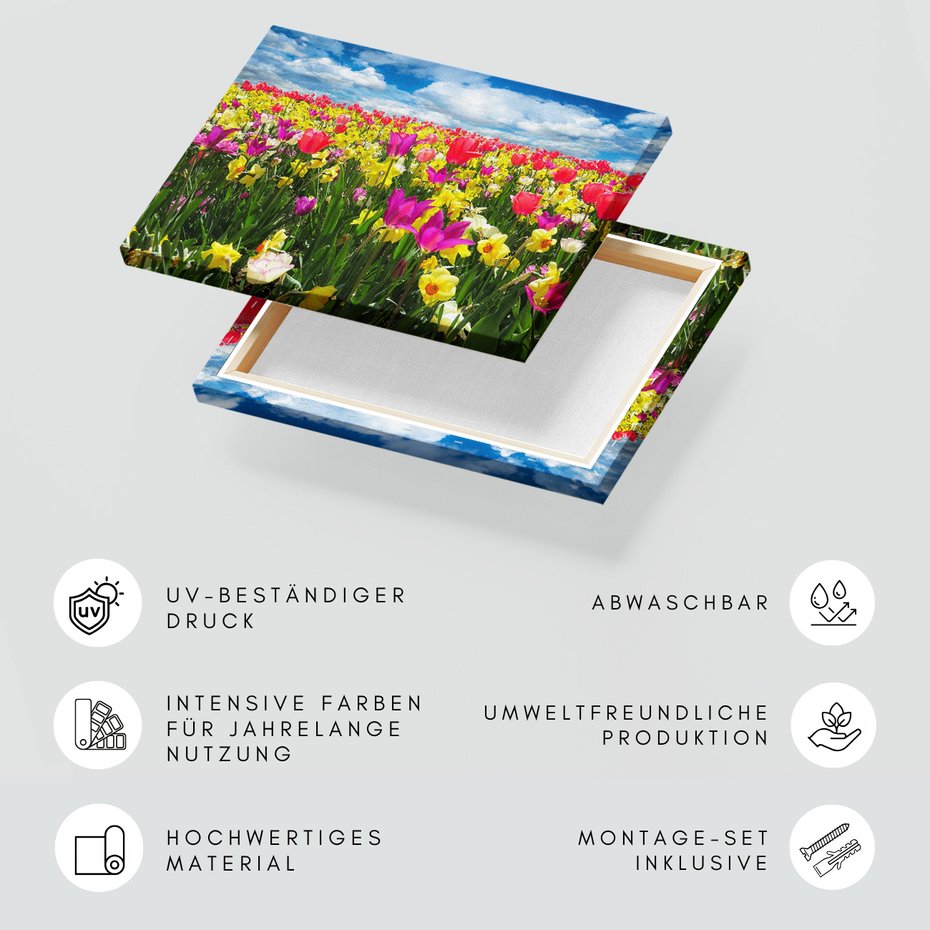 Obraz na płótnie - kwiaty, tulipany, wiosna