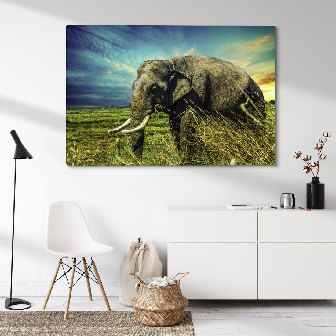 Obraz na płótnie - słoń, trawa, natura