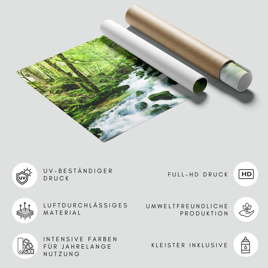 Fototapeta - las, potok, woda