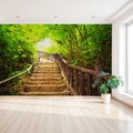 Fototapeta - las, schody, natura